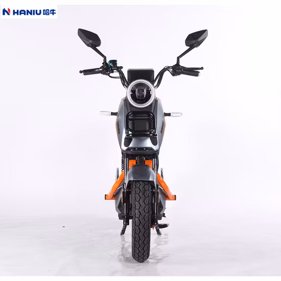 fabricante del OEM del ODM de la central eléctrica de 220V 230V 300W 500W 600W 1200W 1500W 2000W 3000W